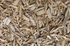 biomass boilers Dipford